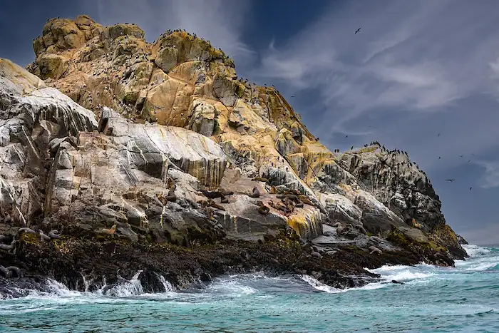 Islas Palomino Una Aventura en el Mar