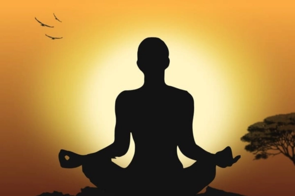 shakra supplements y sus beneficios en el equilibrio mental