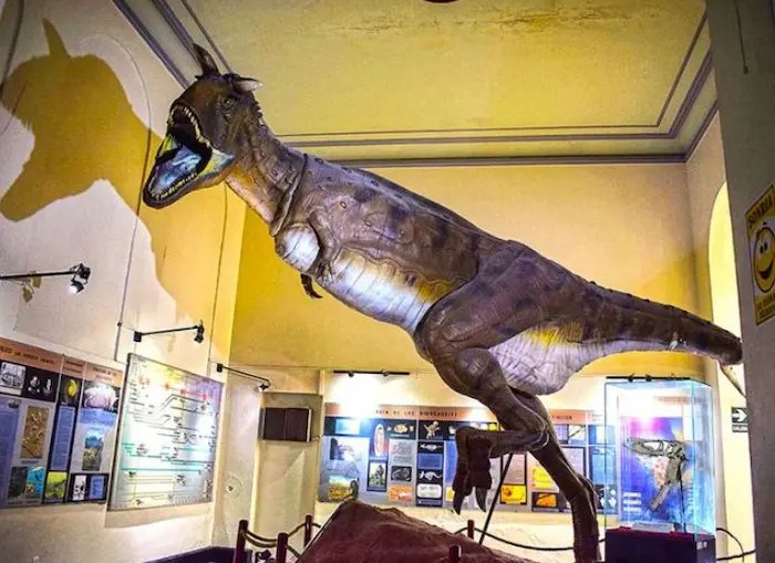 Museo de historia natural