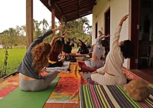 Vida y Energía bienestar físico, emocional y energético